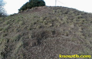 Ardcath Mound - close up image