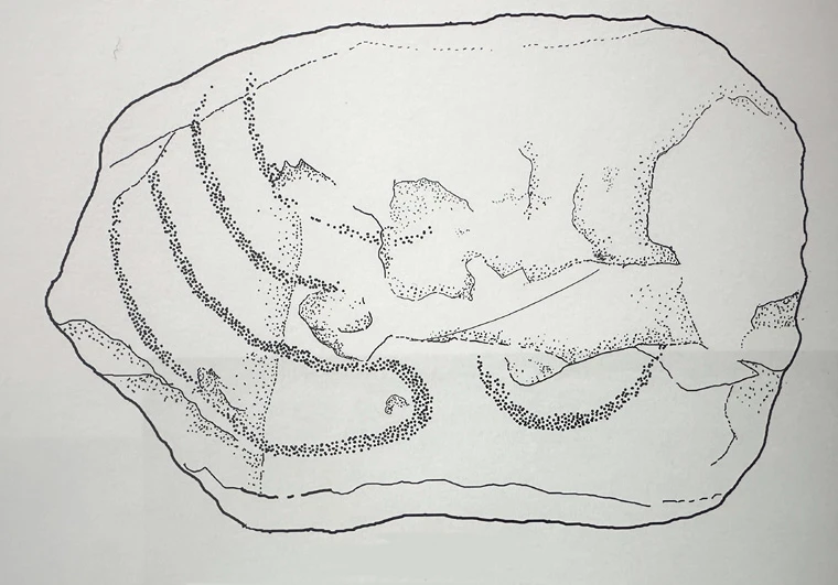 Line drawing of Knowth Kerbstone K88 showing stippled curved lines on the left and a crescent motif on the lower right.