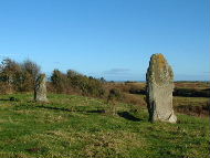 Standing Stones at Baltray on the Boyne estuary